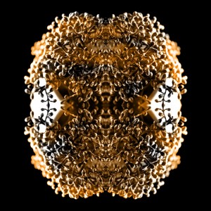 https://www.alainpierot.com:443/files/gimgs/th-13_bloom 22-1n web.jpg